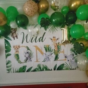 WILD ONE 1st Birthday Theme 🎂